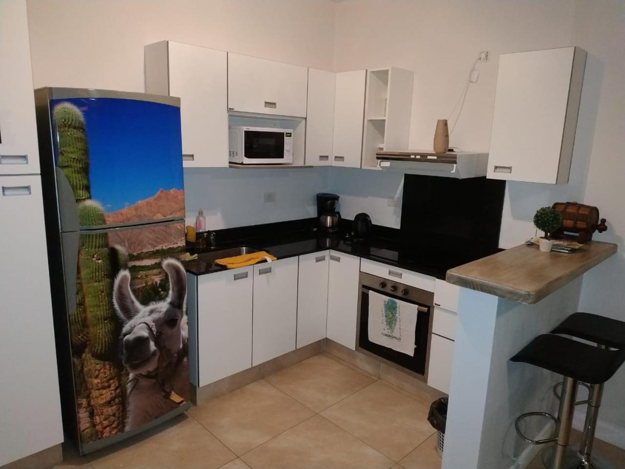 Apartament Apartamento Leguizamon Salta Zewnętrze zdjęcie